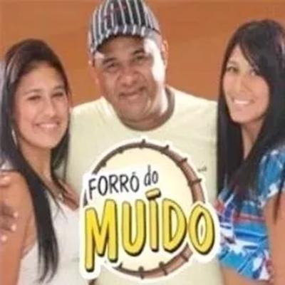 Forró Do Muído, Vol.2 (Ao Vivo)'s cover