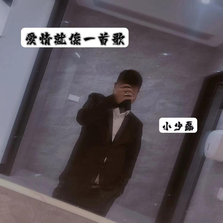 小少磊's avatar image