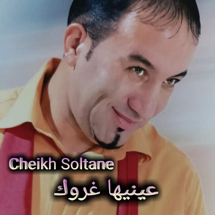 Cheikh Soltane's avatar image