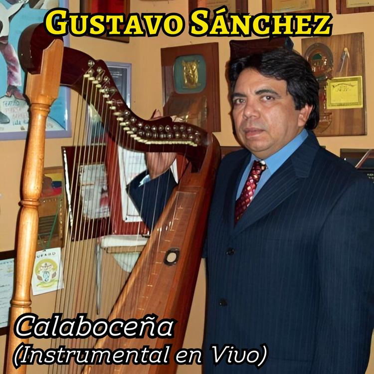 Gustavo Sánchez's avatar image