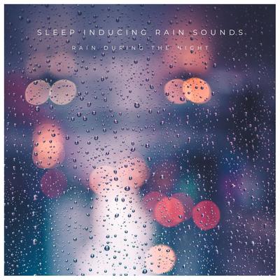 Sleep Inducing Rain Sounds's cover