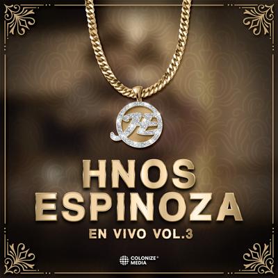 HNOS Espinoza En Vivo, Vol. 3's cover