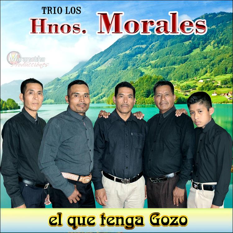 Trio Los Hermanos Morales's avatar image