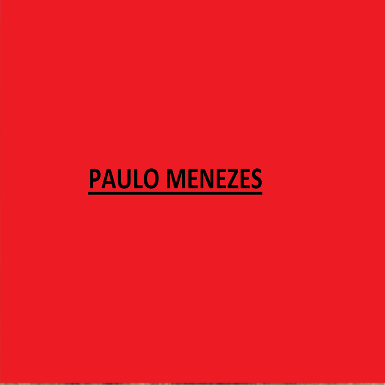 PAULOMENEZES's avatar image