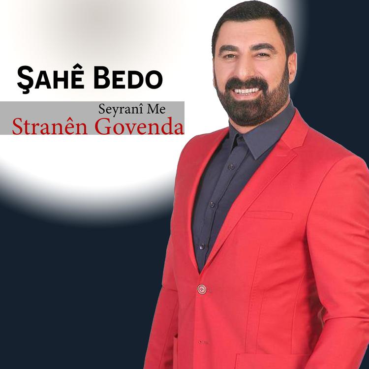 Şahe Bedo's avatar image