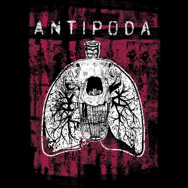 ANTIPODA's avatar image