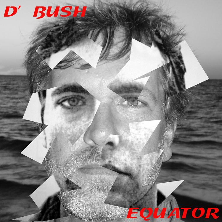 D. Bush's avatar image