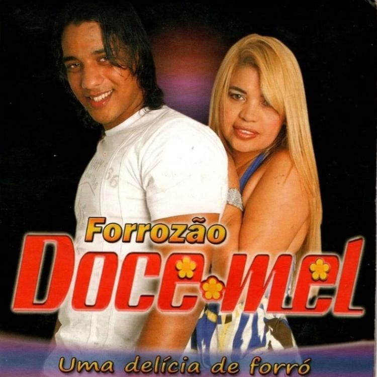 FORROZÃO DOCE MEL's avatar image