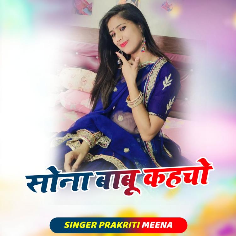 Prakriti Meena's avatar image