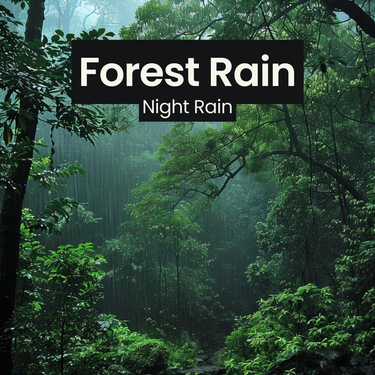 Night rain's avatar image