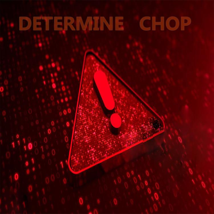 determine chop's avatar image