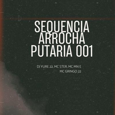 Sequencia Arrocha Putaria 001's cover