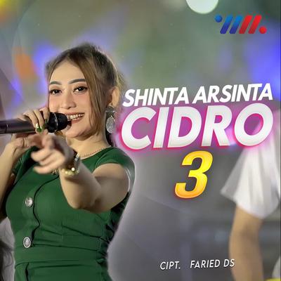 Cidro 3 By Shinta Arsinta's cover