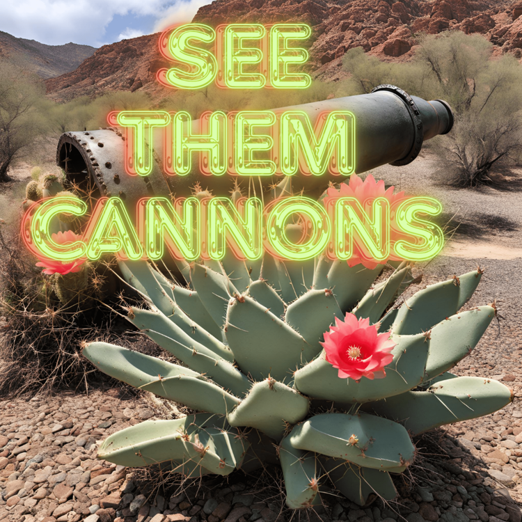 See Them Cannons's avatar image