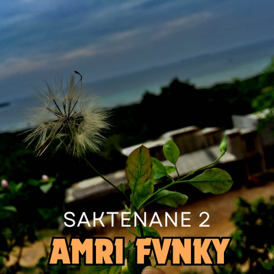 AMRI FVNKY's cover