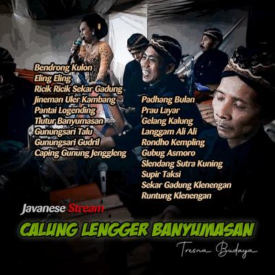 Calung Lengger Campursari Banyumasan (Tresna Budaya)'s cover