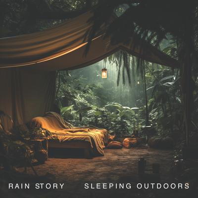 Rain Story's cover