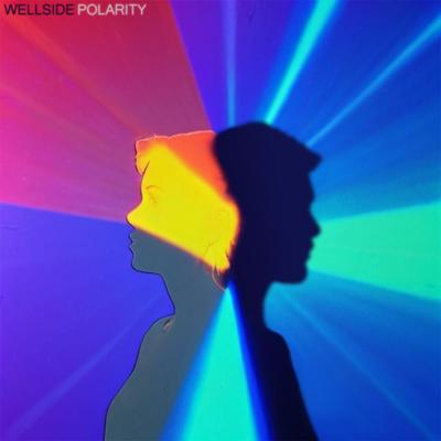 Polarity By Wellside's cover