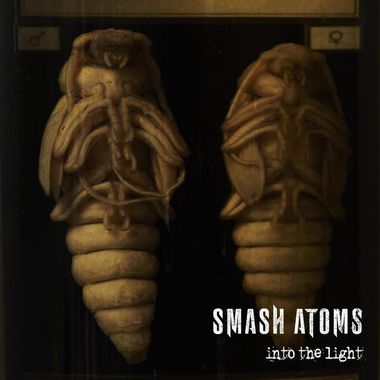 Smash Atoms's avatar image