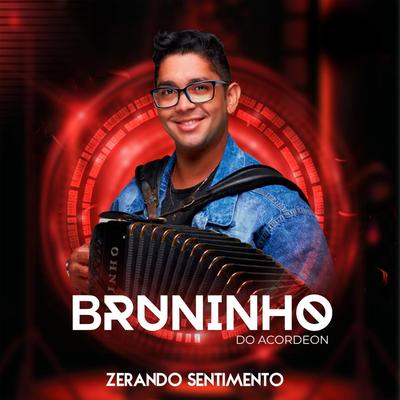 Não Pode Se Apaixonar By Bruninho Do Acordeon's cover