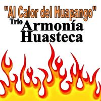 Trio Armonia Huasteca's avatar cover