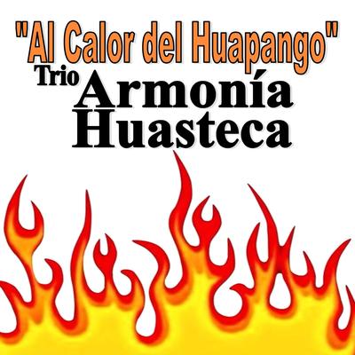 Trio Armonia Huasteca's cover