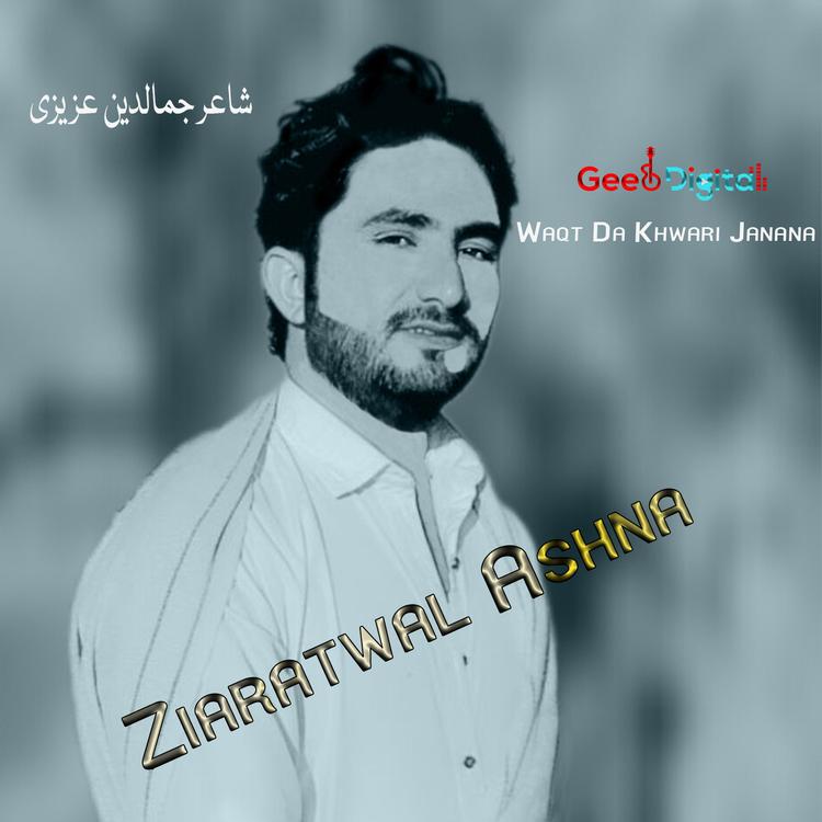 Ziaratwal Ashna's avatar image