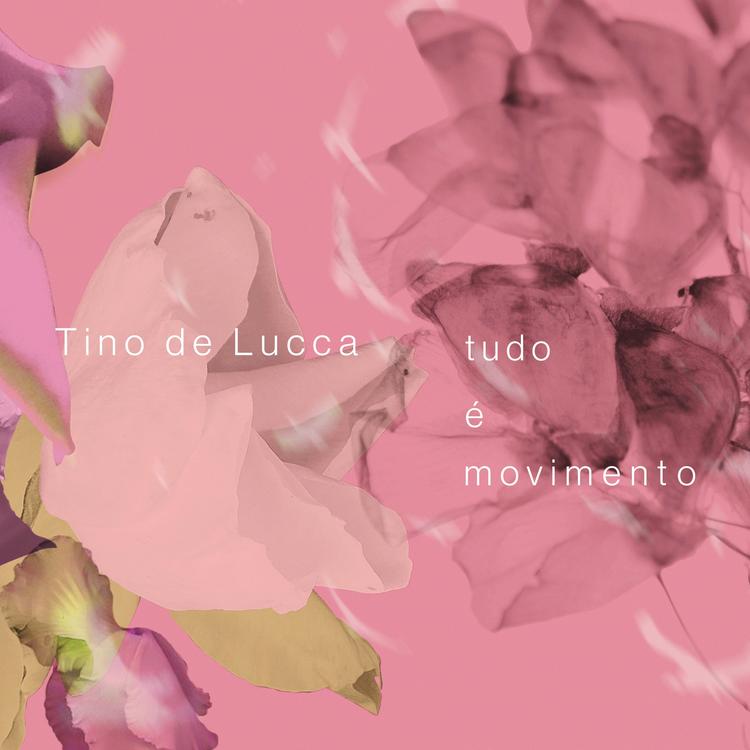 Tino de Lucca's avatar image