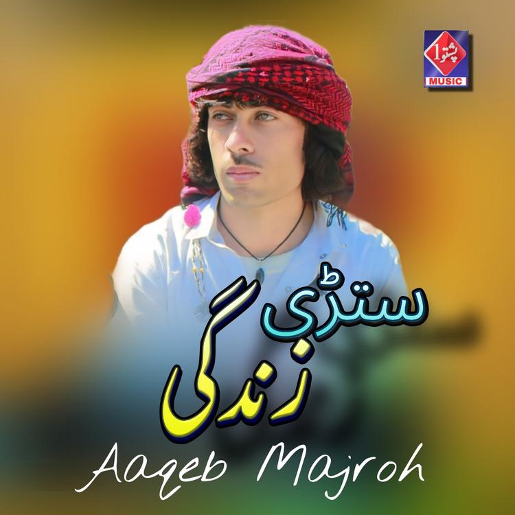 Aaqeb Majroh's avatar image