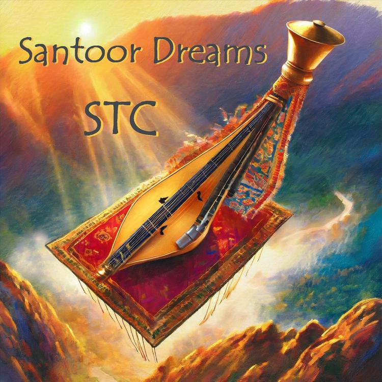 STC's avatar image