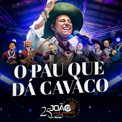O Pau Que Dá Cavaco By João Luiz Corrêa's cover