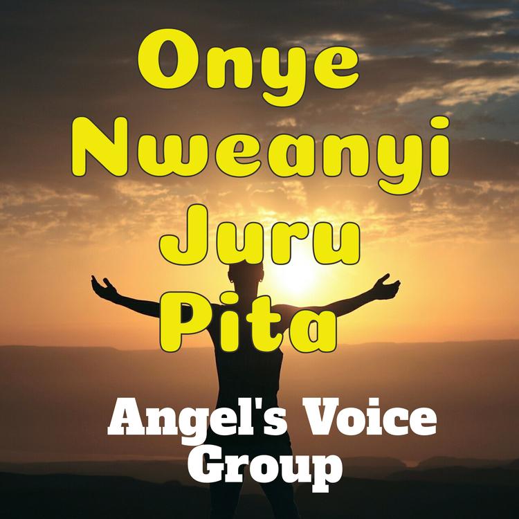 Angel's Voice Group's avatar image