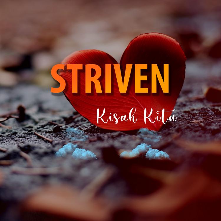 Striven's avatar image