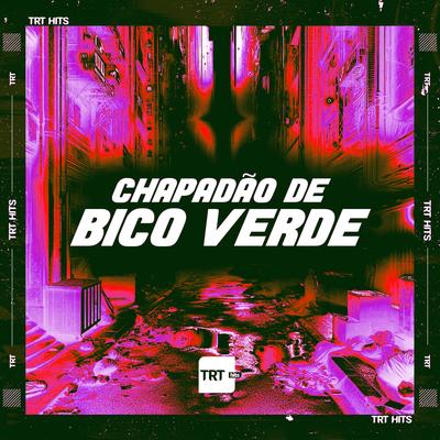 CHAPADÃO DE BICO VERDE's cover