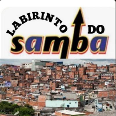 Foi na Roda de Samba's cover