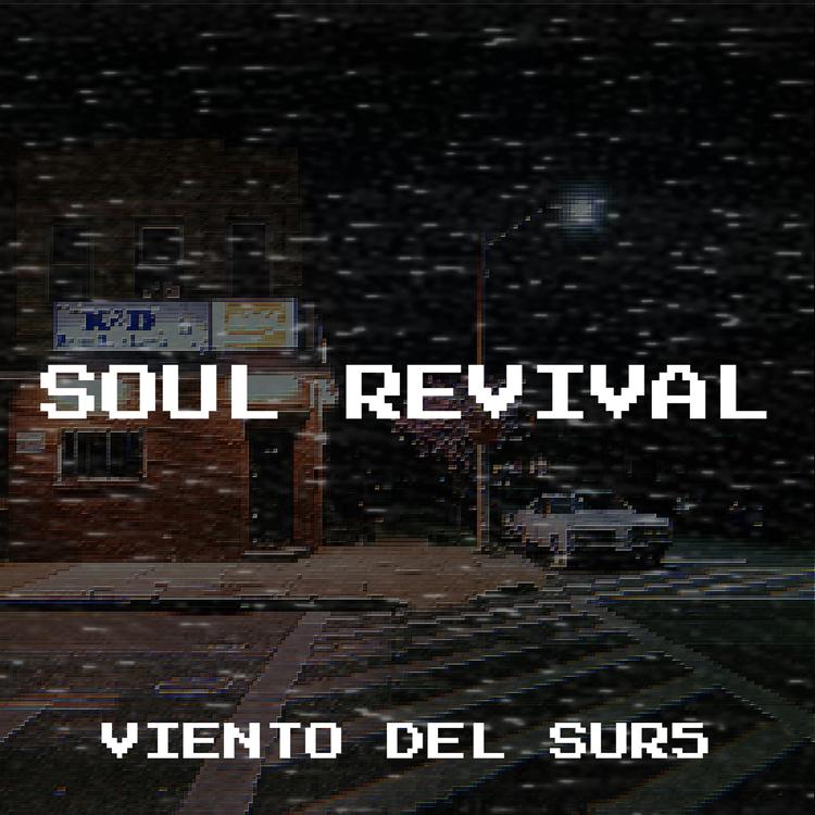 VIENTO DEL SUR5's avatar image