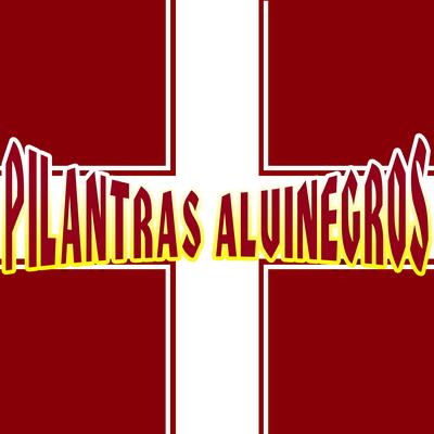 Pilantras Alvinegros's cover