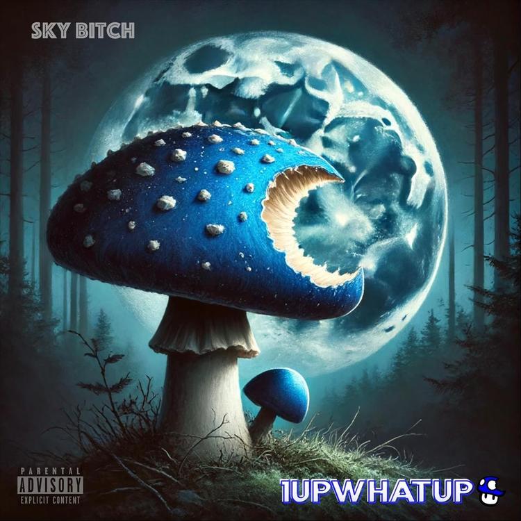 1upwhatup's avatar image