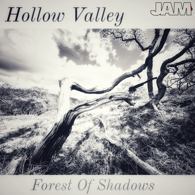 Hollow Valley's cover