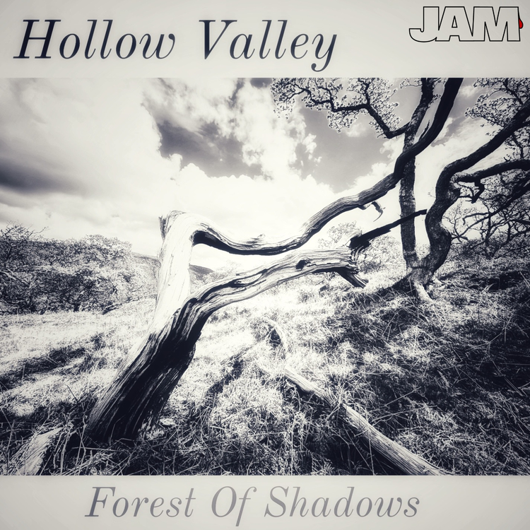 Hollow Valley's avatar image