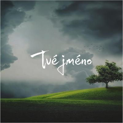 Tvé jméno's cover