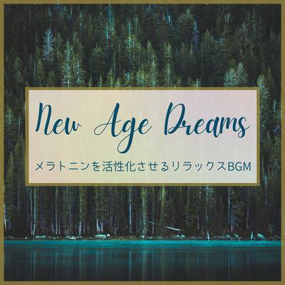 New Age Dreams's cover