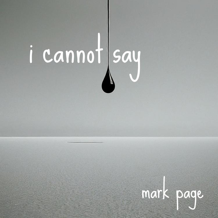 Mark Page's avatar image