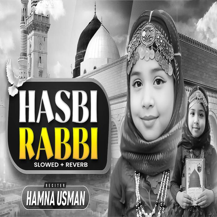 Hamna Usman's avatar image