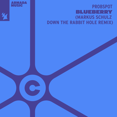 Blueberry (Markus Schulz Down The Rabbit Hole Remix) By Probspot's cover