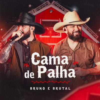 Bruno & Brutal's cover