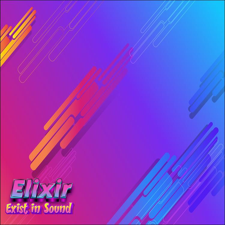 Exist in Sound's avatar image