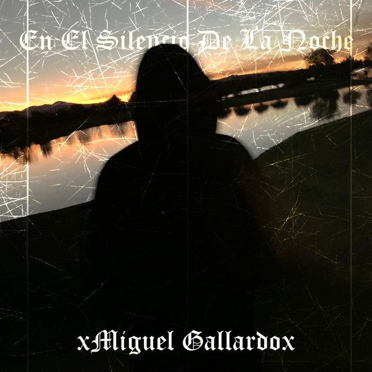 XMiguel GallardoX's avatar image