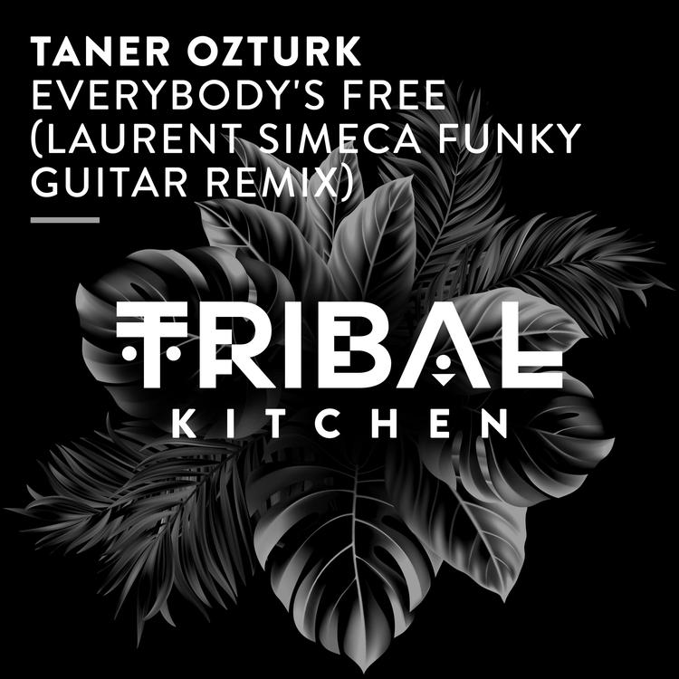 Taner Ozturk's avatar image
