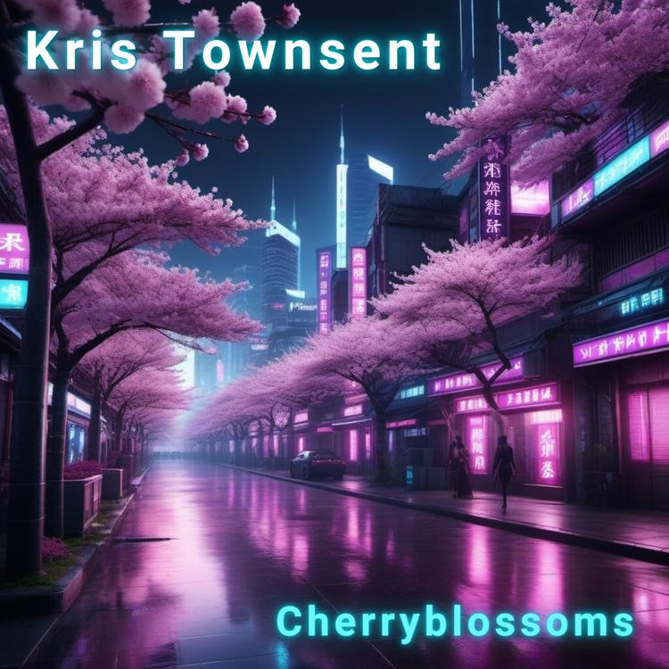 Kris Townsent's avatar image